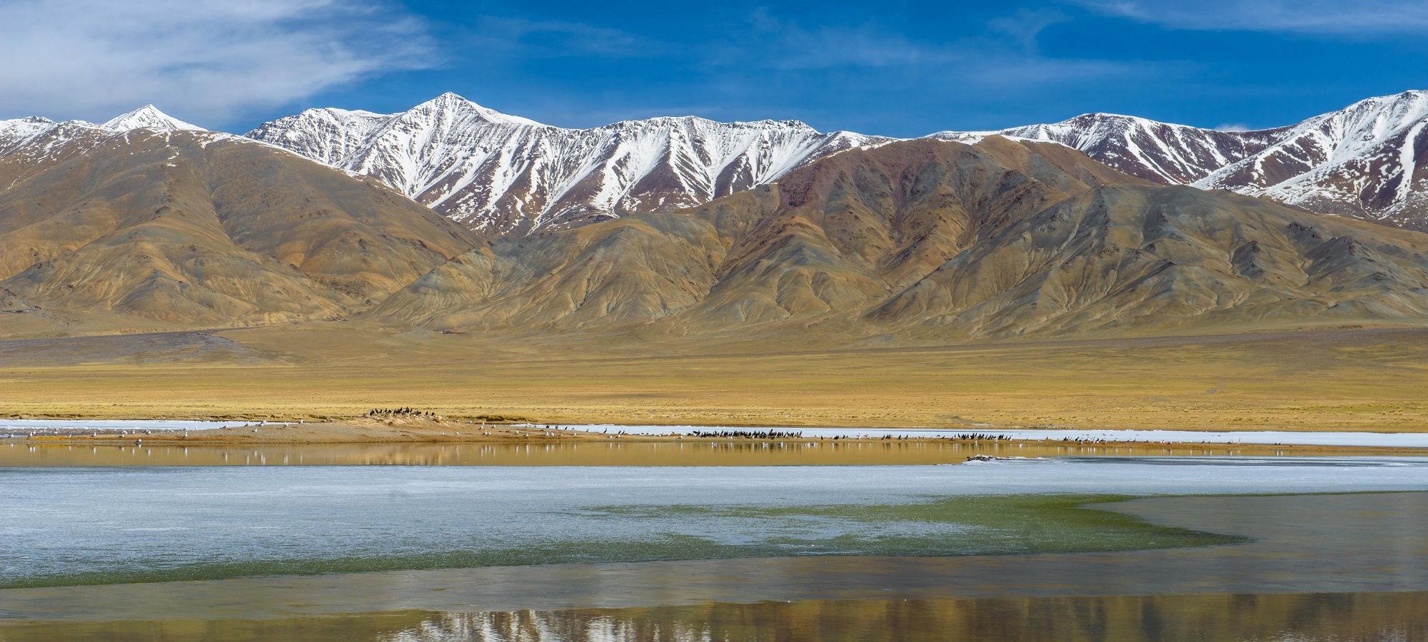 Photos from our Mongolia Gobi Cycling Holiday